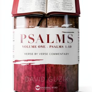 Enduring Word Old Testament Commentary Kindle-0