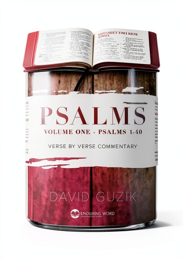 Enduring Word Old Testament Commentary Kindle-0