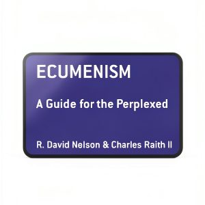 T&T Clark Kindle Guide for the Perplexed Christian Theology-0