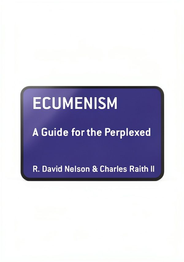 T&T Clark Kindle Guide for the Perplexed Christian Theology-0