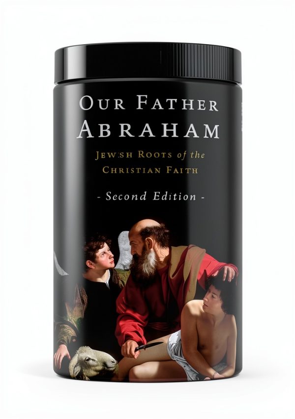 Eerdmans Christian Ecumenism Book Kindle Edition-0