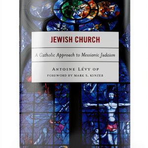 Ecumenism Theology Kindle by Lexington Books-0