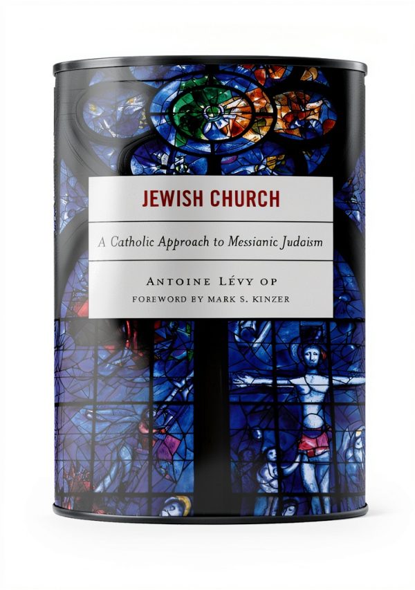 Ecumenism Theology Kindle by Lexington Books-0