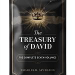 Christian Theology Book Grapevine Kindle Edition-0