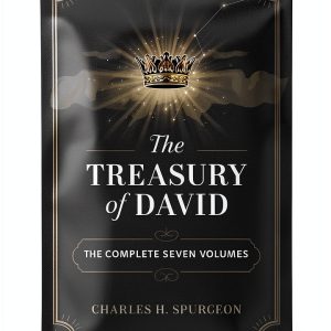 Christian Theology Book Grapevine Kindle Edition-0