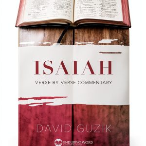 Christian Prophets Kindle Book by Enduring Word-0