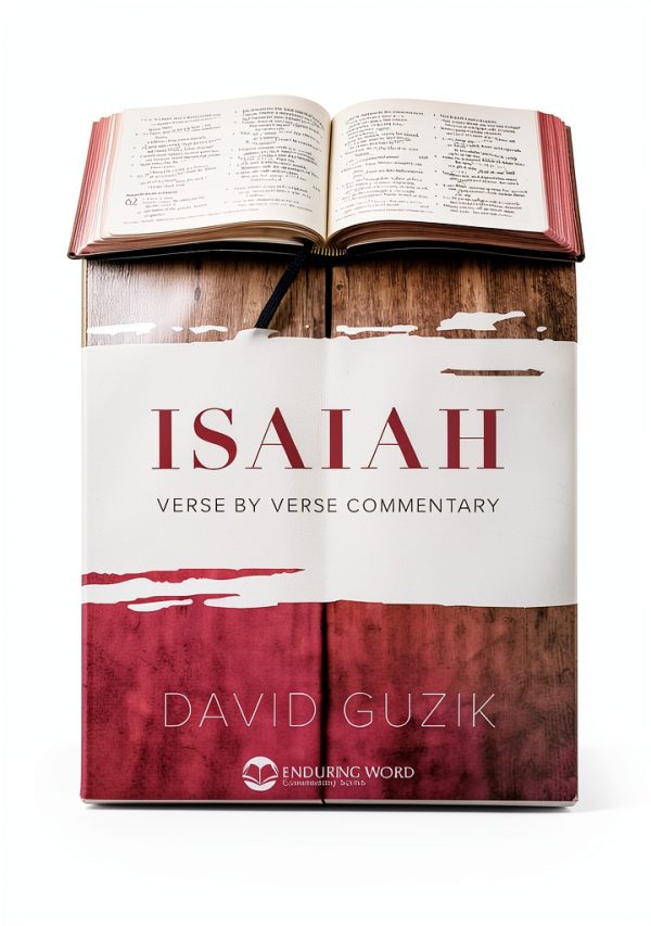 Christian Prophets Kindle Book by Enduring Word-0
