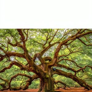 Ecumenism Theology Kindle Book Rowman 224p-0