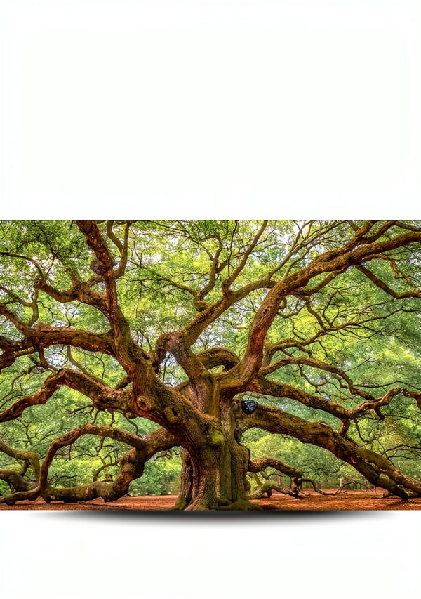 Ecumenism Theology Kindle Book Rowman 224p-0