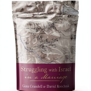 Christian Theology Kindle Book by Resource Publications-0