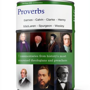 Old Testament Commentary Amazon Kindle Typeset-0